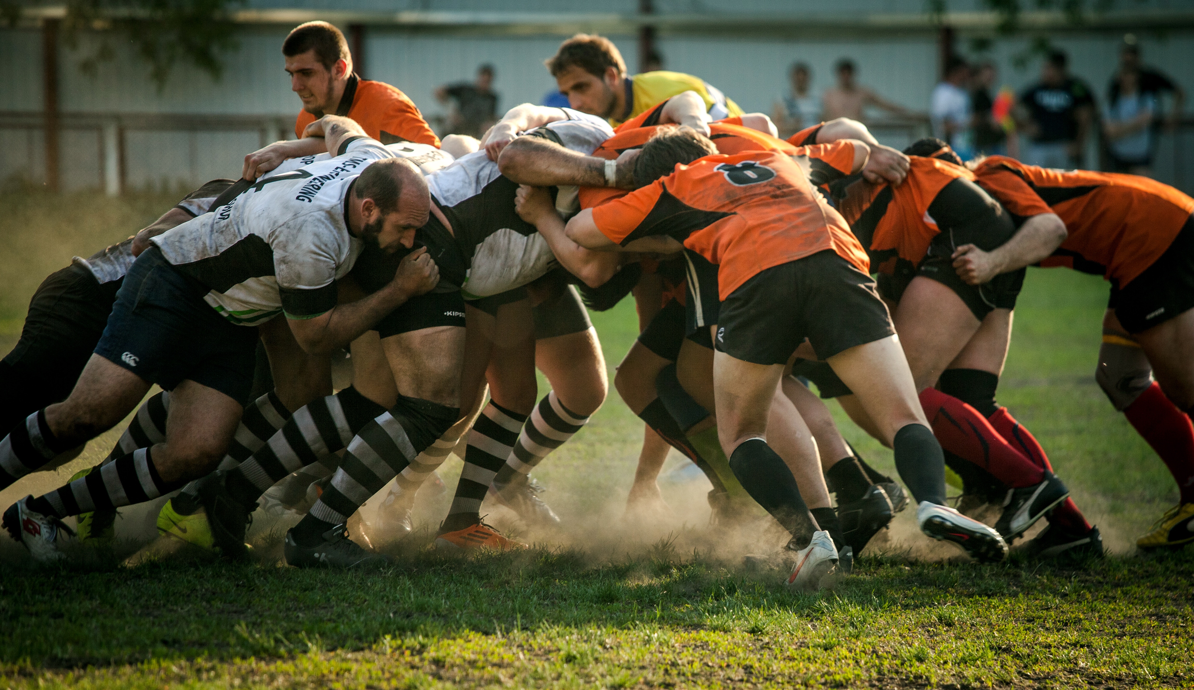 Influence of team resilience on professional rugby union teams