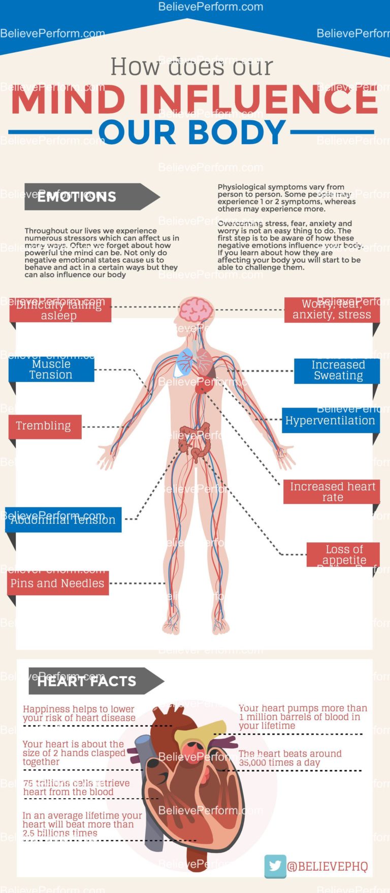 how-does-our-mind-influence-our-body-believeperform-the-uk-s